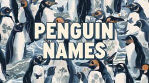 Penguin Names